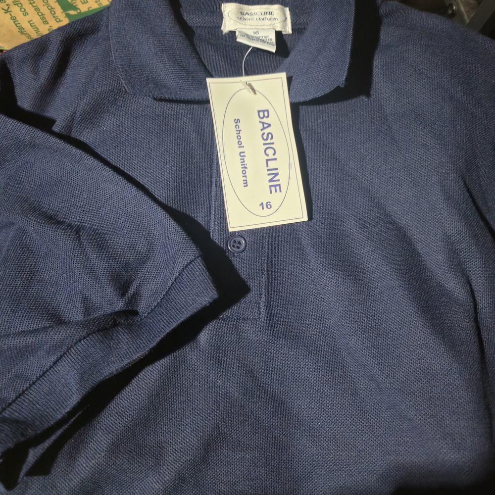 Boys Blue Polo Shirt
